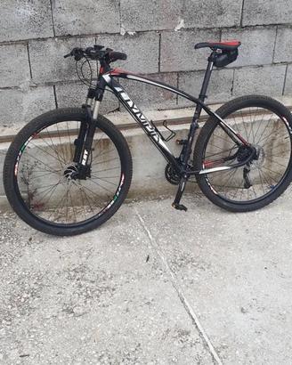 Mountain bike
