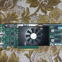Scheda di acquisizione video Matrox DSXLE4L/22/500