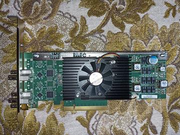 Scheda di acquisizione video Matrox DSXLE4L/22/500