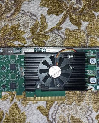 Scheda di acquisizione video Matrox DSXLE4L/22/500