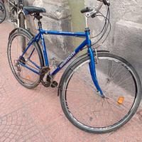 bicicletta da uomo ruota 28 