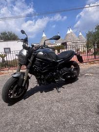 Leoncino 800