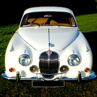 Auto per matrimoni ed eventi