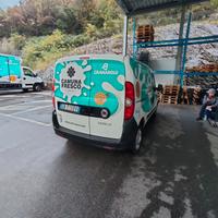 Fiat Doblo con cella frigo