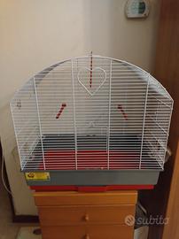 gabbia uccelli