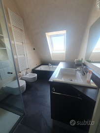 Appartamento Gallarate molto luminoso