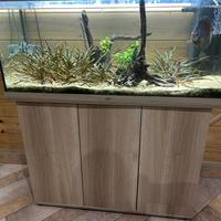 Acquario compreso di tutto