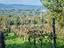 Immagine 26