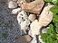 Immagine 2