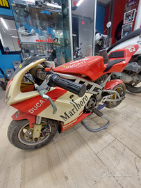Mini moto Ducati 80cc raffreddata a liquido