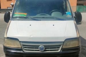 fiat ducatoMax 2800 JTD
