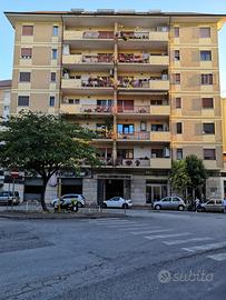 Miniappartamento Isernia centro