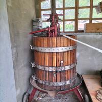 Torchio