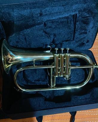 Flicorno soprano
