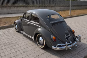 Maggiolino 1.2 
