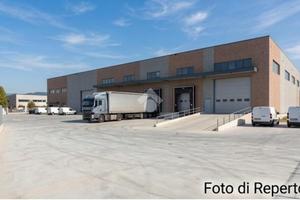 NEGOZIO A FIGLINE E INCISA VALDARNO