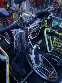 Bici muscolare genesis