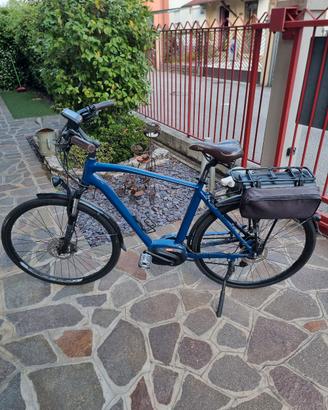 bici elettrica uomo