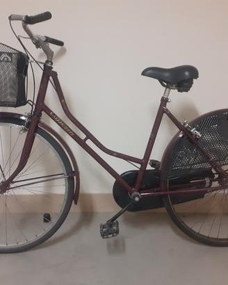 bicicletta donna