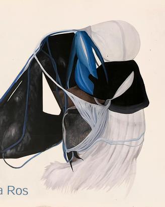 Sonia Ros - Autoritratti