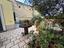 Immagine 19