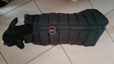  piumino cane 