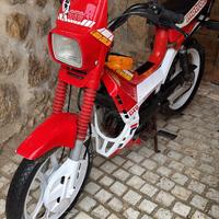 Motron gto