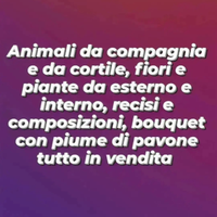Piante fiori e animali