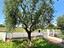 Immagine 25