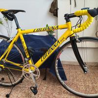 Bici vintage perfetta tutta Campagnolo veloce 10v