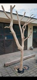 Albero legno da arredamento
