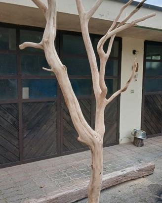 Albero legno da arredamento