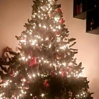 ALBERO DI NATALE 2.40 MONTEGRAPPA