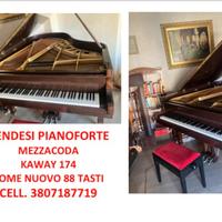 pianoforte coda