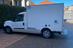 Fiat doblo frigo con atp