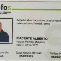 Escavatorista professionale