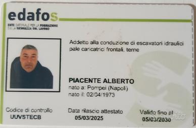 Escavatorista professionale