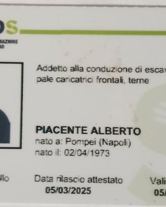 Escavatorista professionale