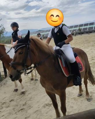 Pony