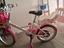 Immagine 2