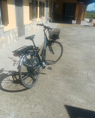 bicicletta elettrica 