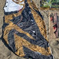 blocco 2 kite foil e 4 tavole