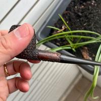 Pipa vintage -prince of wales-