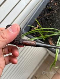 Pipa vintage -prince of wales-