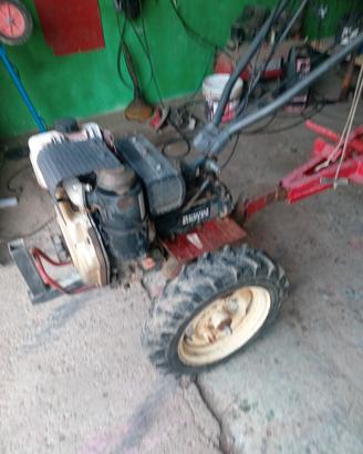 motozappa brummi simplex