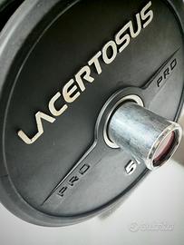 Coppia di dischi Lacertosus PRO Grip da 5kg