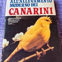 Guida all’allenamento moderno dei Canarini