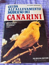 Guida all’allenamento moderno dei Canarini