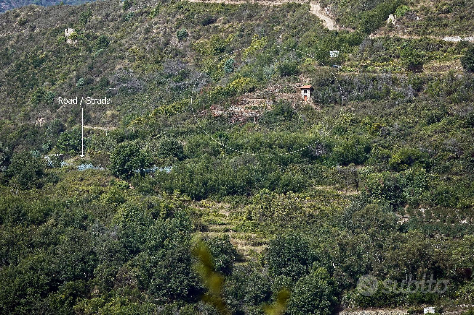 Riviera / Terreno edificabile / 600m sopra Sanremo - Vista 5