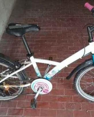 Bicicletta Bambina 20 pollici